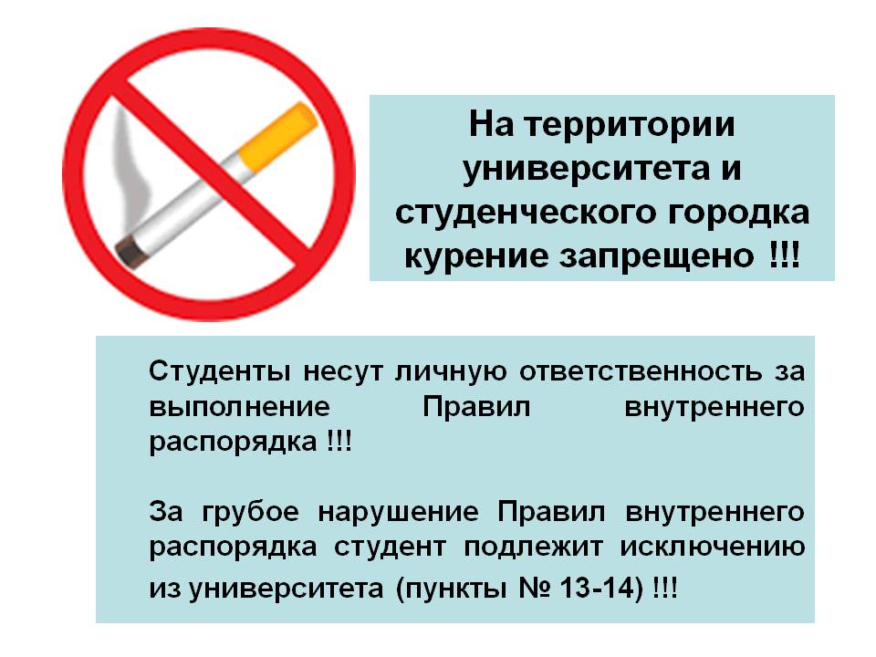 В общежитии запрещено. Курение на территории учебного заведения запрещено. Студентам запрещается. Запрет для студентов. Что запрещено студентам.