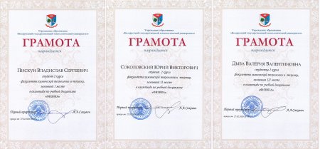 ����������� ����������� � �������� ���������� ��������